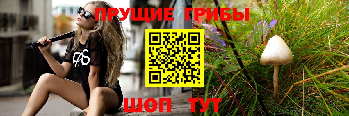 Псилоцибиновые грибы GOLDEN TEACHER Волжский