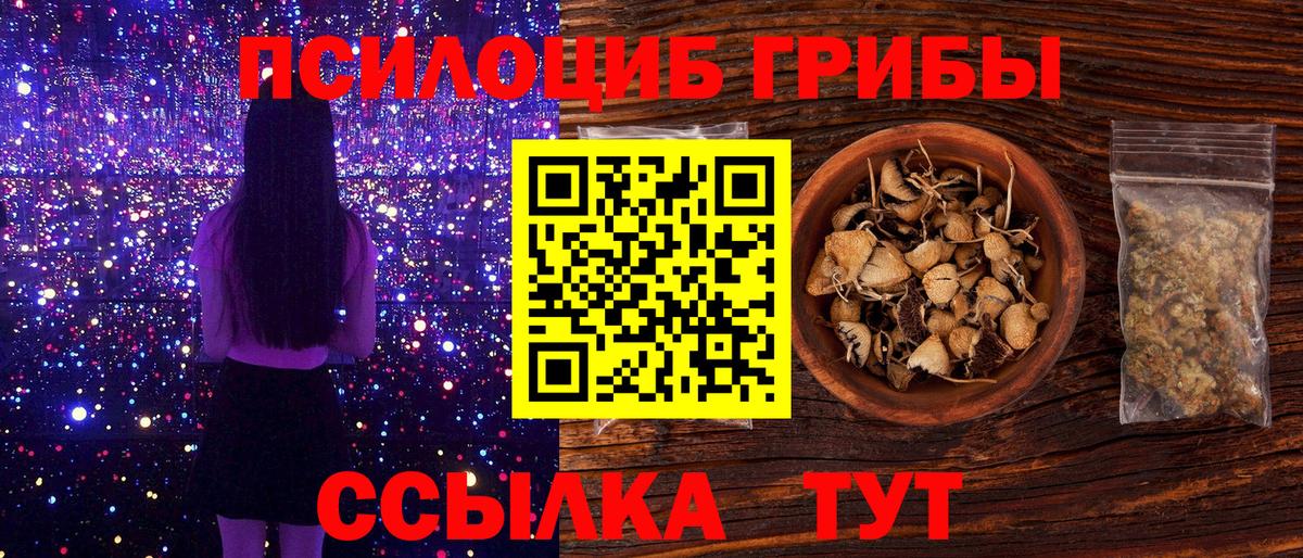 Волжский  Галлюциногенные грибы ЛСД  Вход с VPN 
